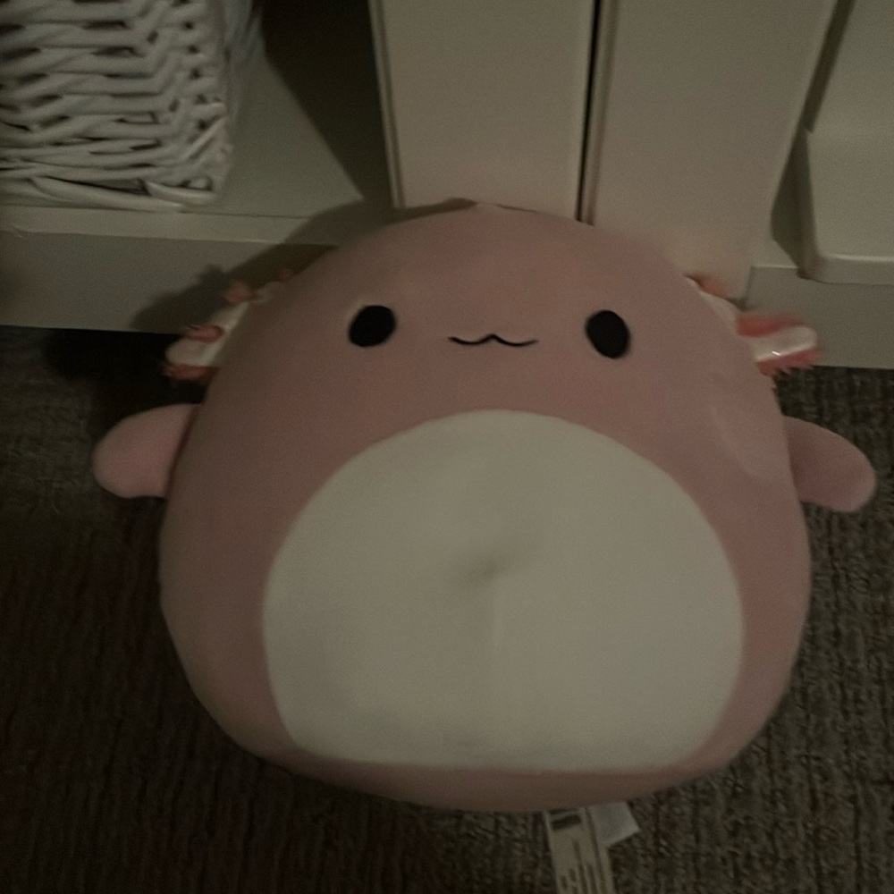 Archie squishmellow